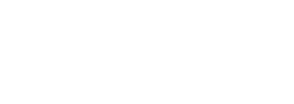 WP VIP