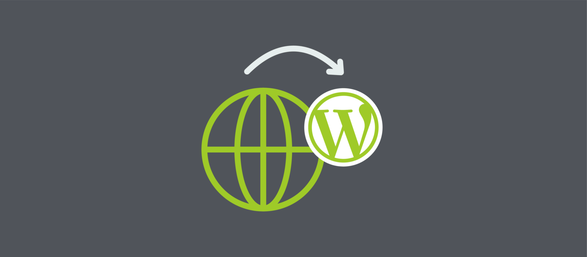 WWW symbol with WP logo
