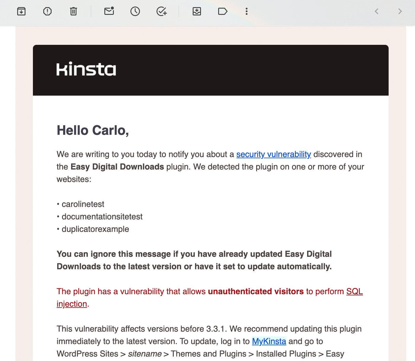 Eine Schwachstellen-E-Mail von Kinsta