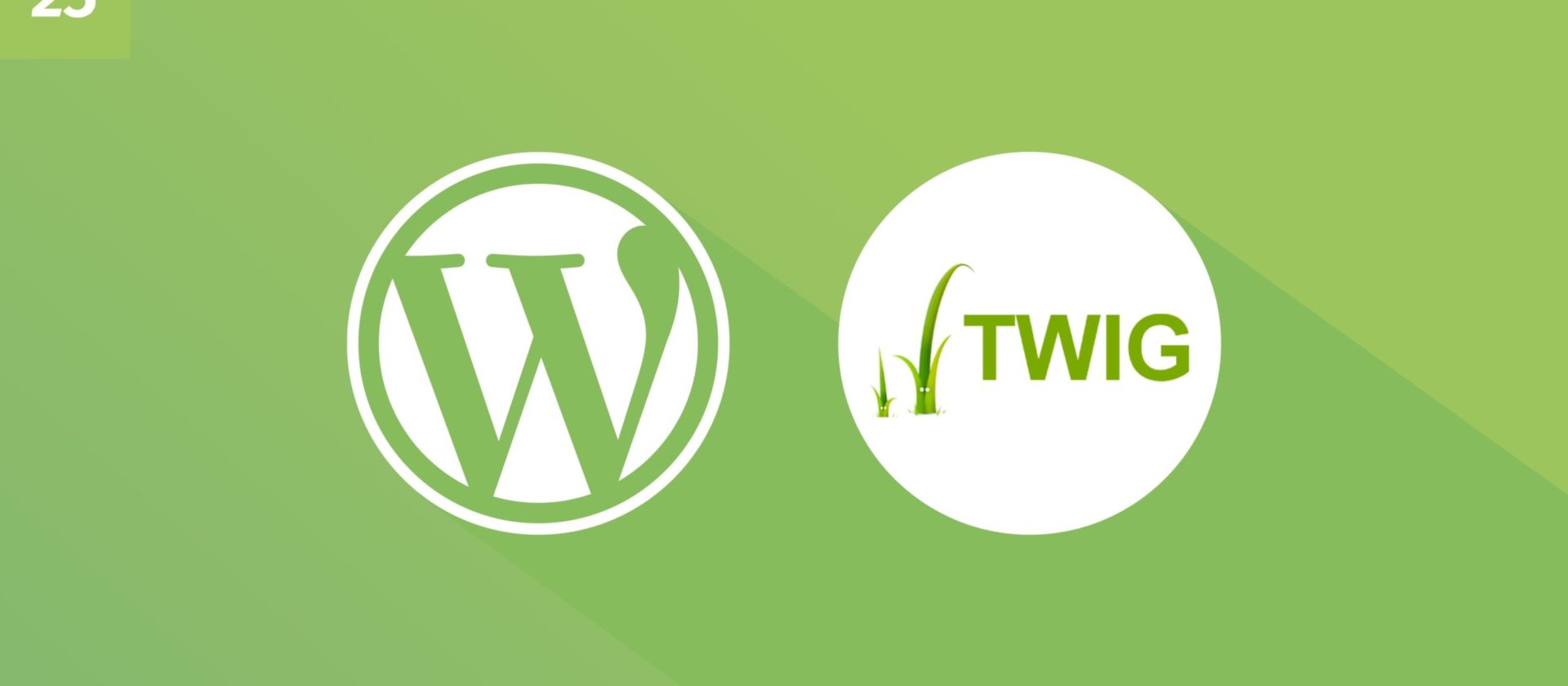 WordPress und Twig: Wie man Data von Views trennt