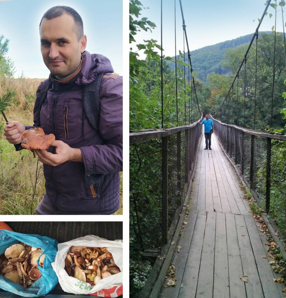 The picture shows a collage of three pictures. The first picture shows Vladimir who is picking mushrooms. The second picture shows some bags with mushrooms in it and the third one shows him standing on a bridge in nature.