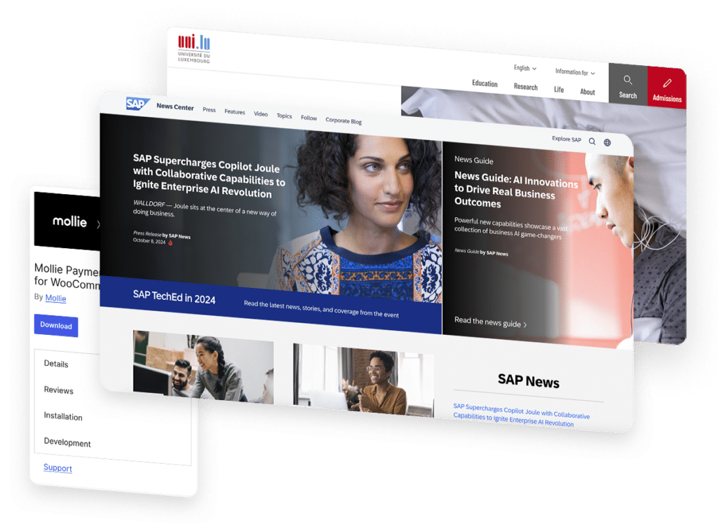 WordPress Agency Website Examples