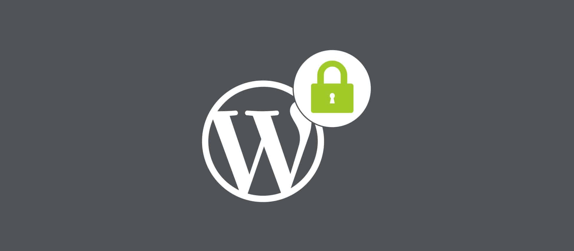 WordPress logo with a lock